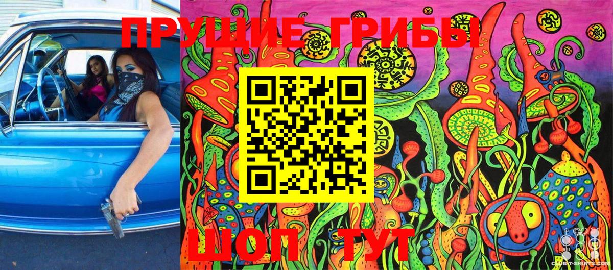 Южно-Сахалинск  Псилоцибиновые грибы Cubensis  сколько стоит  Вход с VPN  Галлюциногенные грибы мицелий 