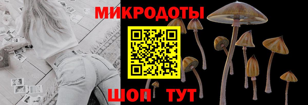 Псилоцибиновые грибы мицелий Южно-Сахалинск